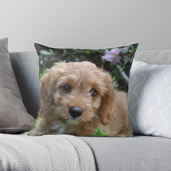 Hudson2 Throw Pillow