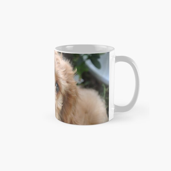 Hudson2 Classic Mug