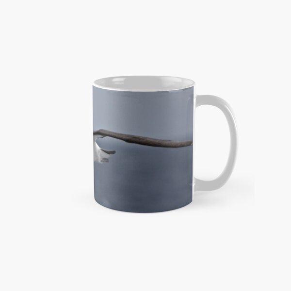 Black-browed Albatross ~ To Close Classic Mug