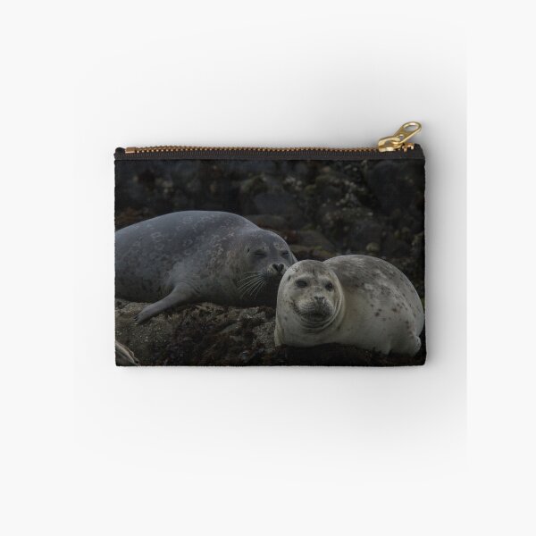 Item preview, Harbor Seals designed and sold by gerardofm4.