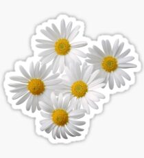daisys Sticker