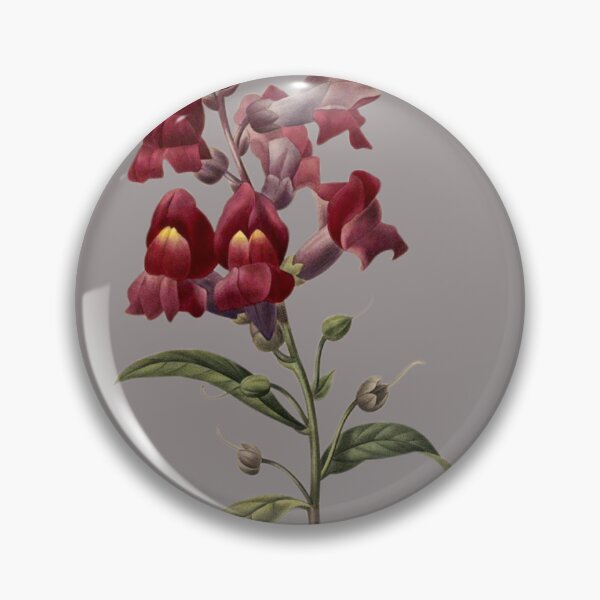 Item preview, Vintage Snapdragons Flower Sticker designed and sold by designsdetour.
