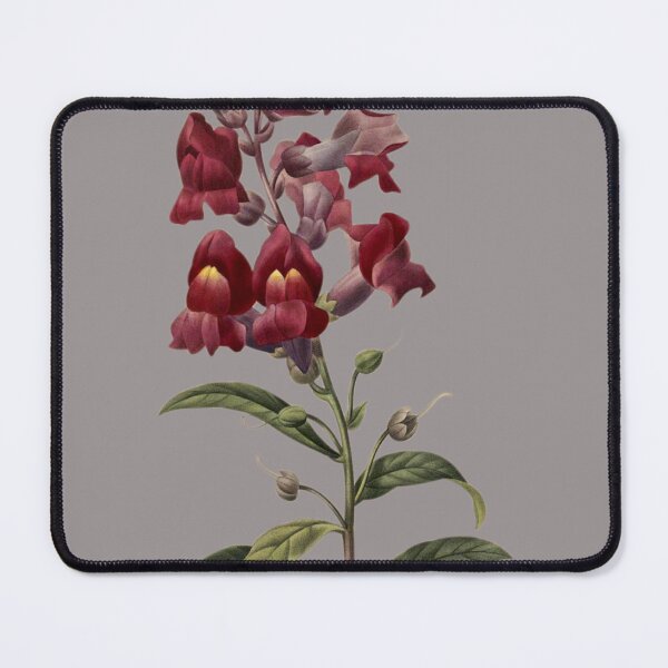 Item preview, Vintage Snapdragons Flower Sticker designed and sold by designsdetour.