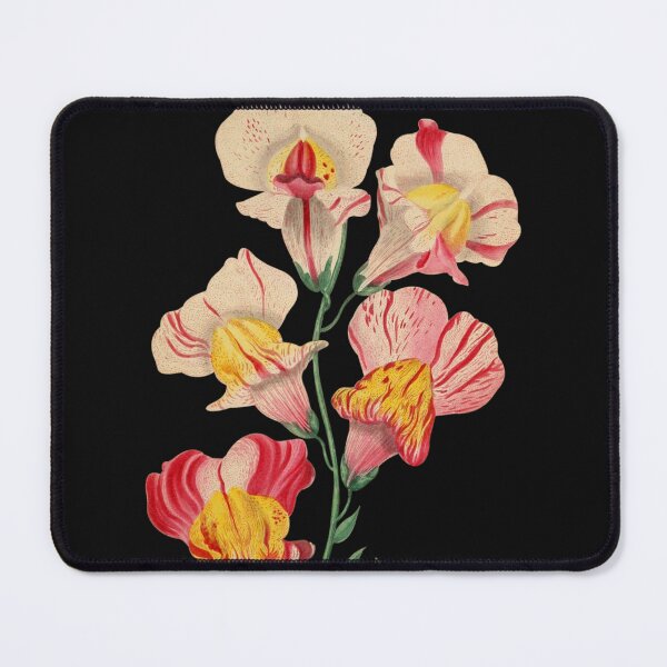 Item preview, Vintage Snapdragons Flower Sticker designed and sold by designsdetour.