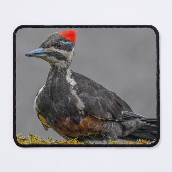 Item preview, A little different!! designed and sold by WesleyBarr.