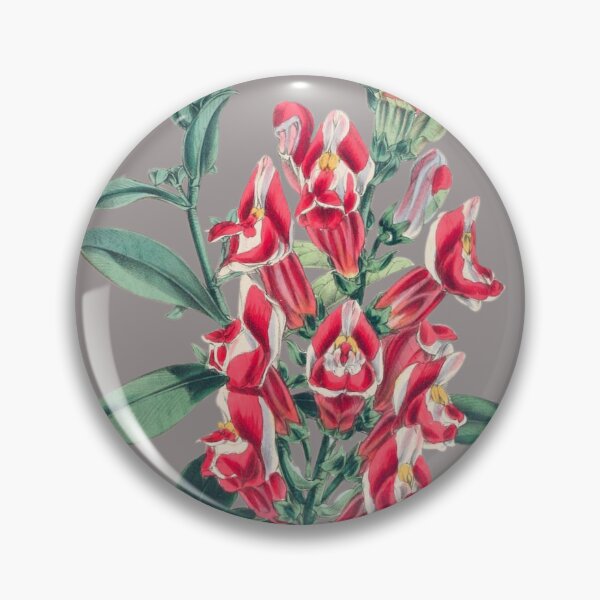 Item preview, Vintage Snapdragons Flower Sticker designed and sold by designsdetour.