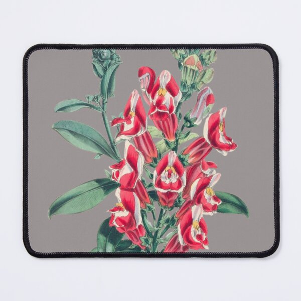 Item preview, Vintage Snapdragons Flower Sticker designed and sold by designsdetour.