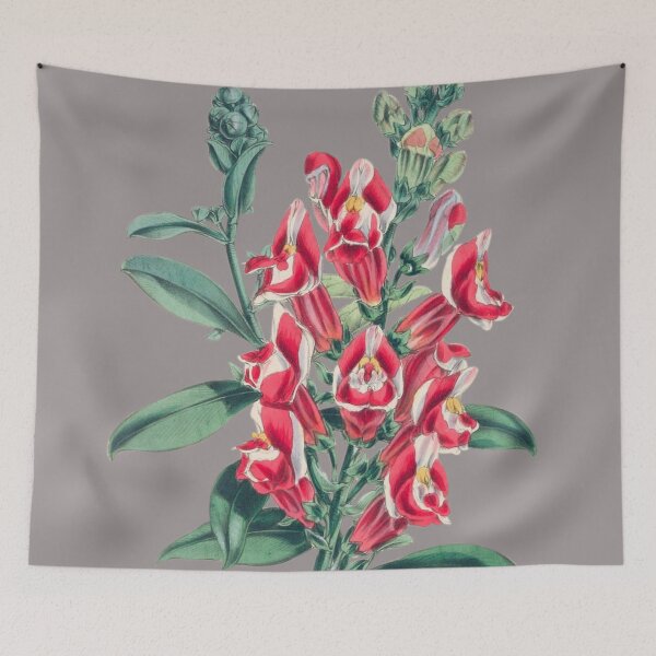 Item preview, Vintage Snapdragons Flower Sticker designed and sold by designsdetour.