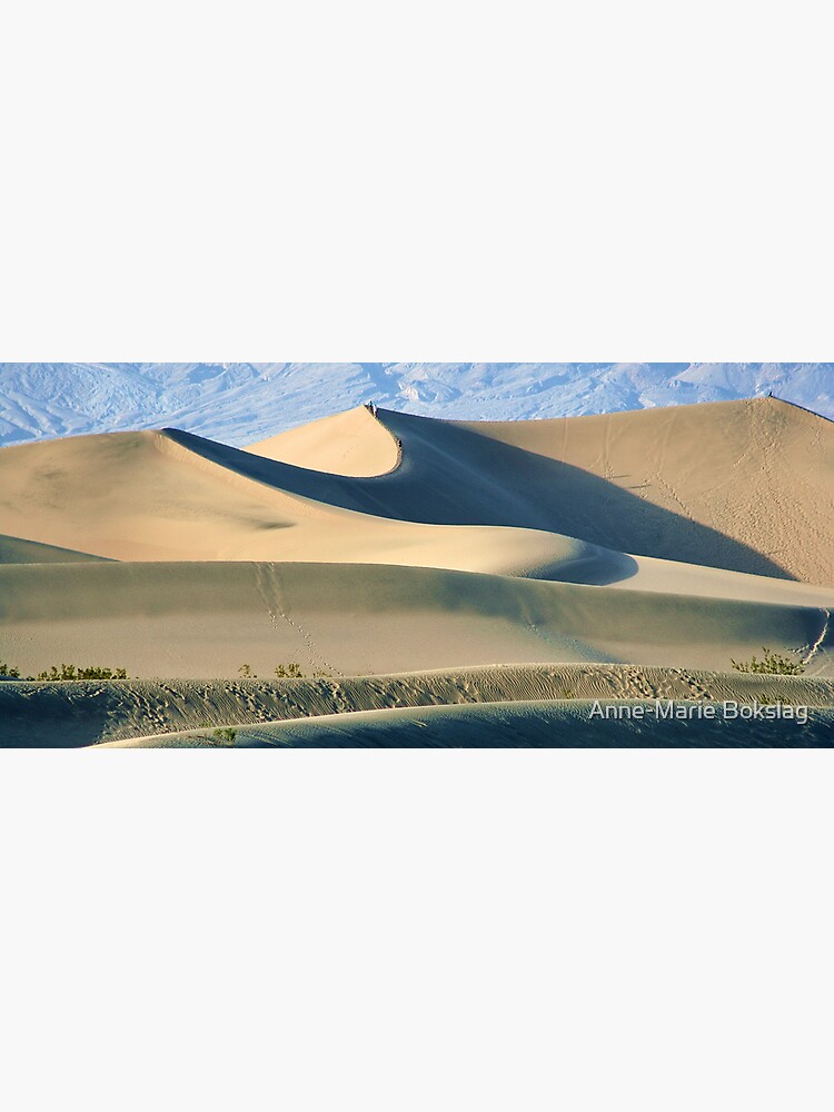 Sand Dunes by amb1946