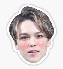 Vernon Seventeen Sticker