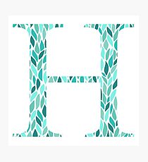 eta Photographic Print