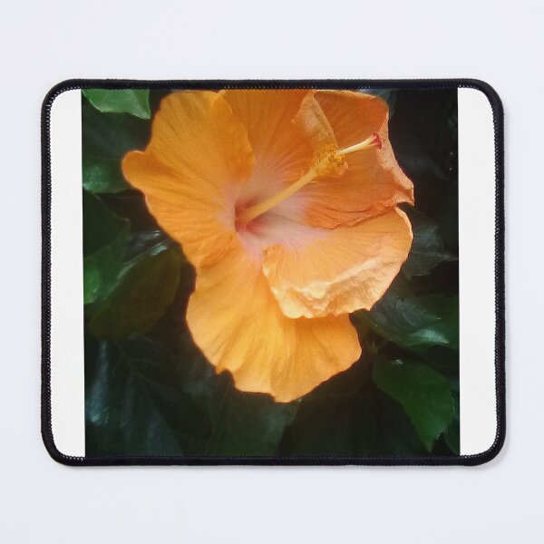 Item preview, Orange Hibiscus designed and sold by NicciArt.