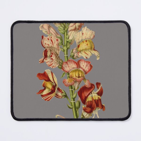 Item preview, Vintage Snapdragons Flower Sticker designed and sold by designsdetour.