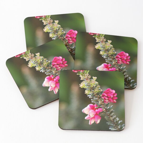 Item preview, Grevillea Flowers Pink Spring  designed and sold by Joy Watson - Natural Light Photography .