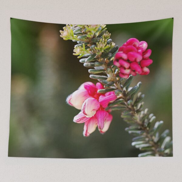 Item preview, Grevillea Flowers Pink Spring  designed and sold by Joy Watson - Natural Light Photography .