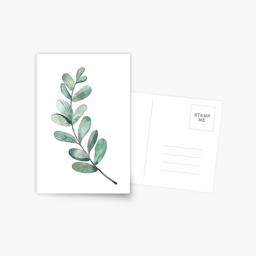 Eucalyptus Watercolor Postcard Set