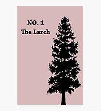No. 1 - The Larch Photographic Print
