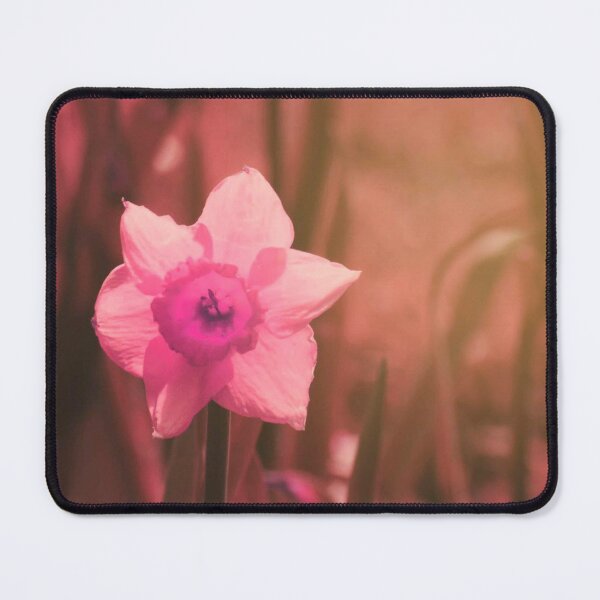 Item preview, pink daffodil designed and sold by Francespoppy.