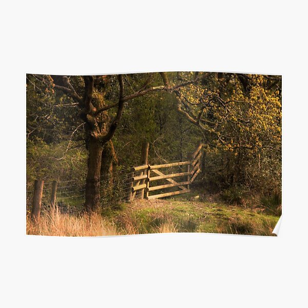 landscape Poster