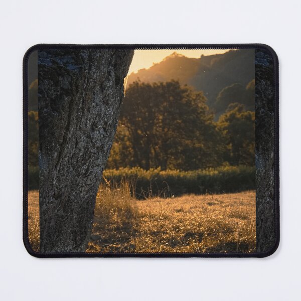 Item preview, evening sun on grey stone designed and sold by dsoutherby15.