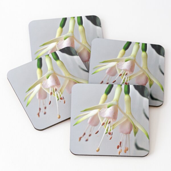 Item preview, White Fuchsia Hawkshead Summer Flower designed and sold by AndyEvansPhotos.