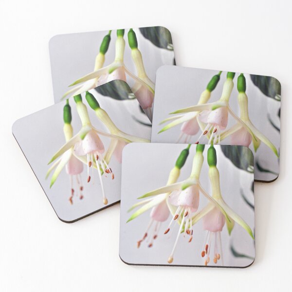 Item preview, White Fuchsia Hawkshead Summer Flower designed and sold by AndyEvansPhotos.