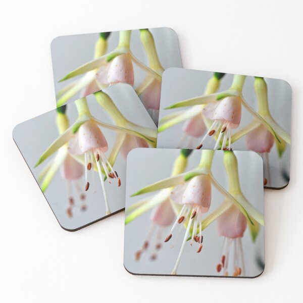 Item preview, White Fuchsia Hawkshead Summer Flower designed and sold by AndyEvansPhotos.