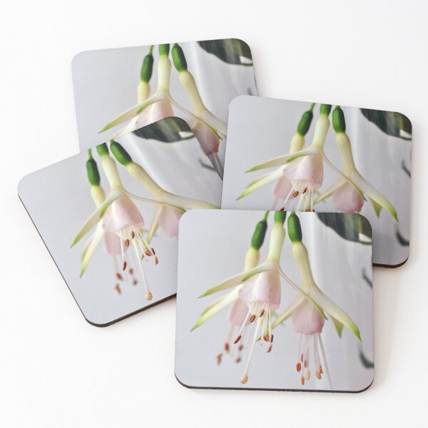 Item preview, White Fuchsia Hawkshead Summer Flower designed and sold by AndyEvansPhotos.