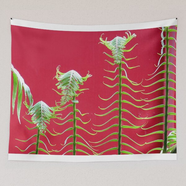 Item preview, Papa Fern, Mama Fern and Baby Fern designed and sold by lensbaby.
