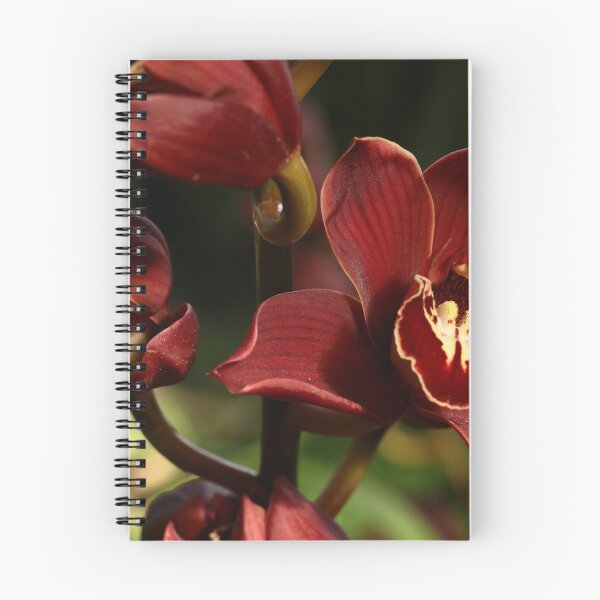 Artikelvorschau, Dunkle Orchidee 1 entworfen und verkauft von beeden.