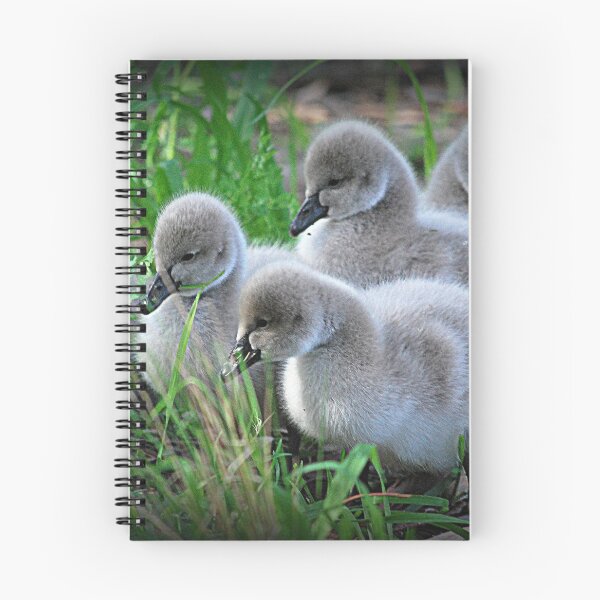 Item preview, Too cute for words! designed and sold by Lorraine McCarthy.