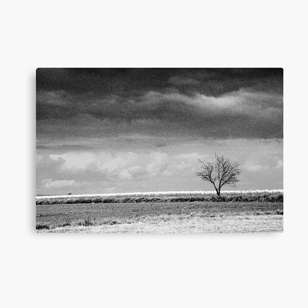 Standing alone Canvas Print