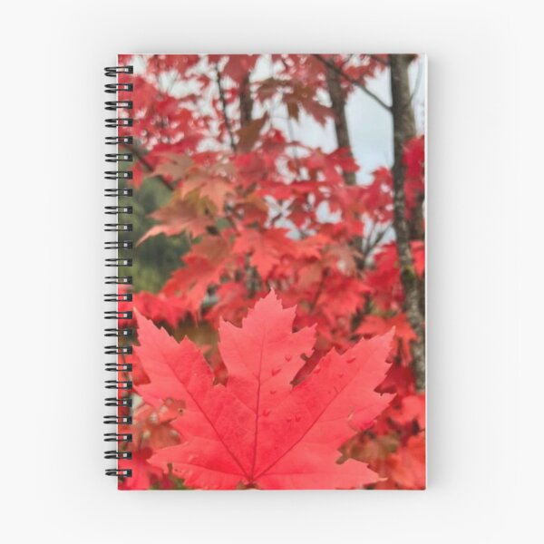Item preview, Autumn or spring vibe  designed and sold by Jutsyjam-offxl.