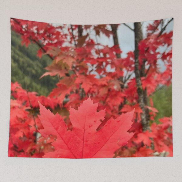 Item preview, Autumn or spring vibe  designed and sold by Jutsyjam-offxl.