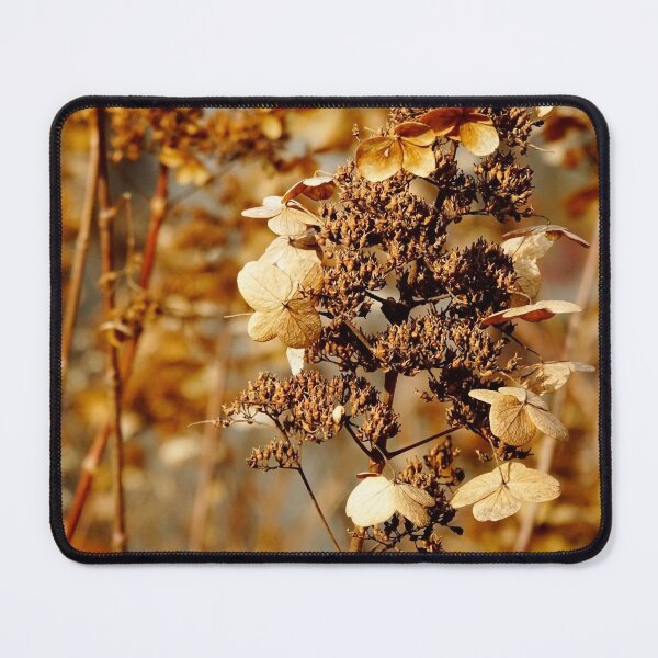 Item preview, Shades of Brown in Autumn Hydrangeas designed and sold by CarolinaReina.
