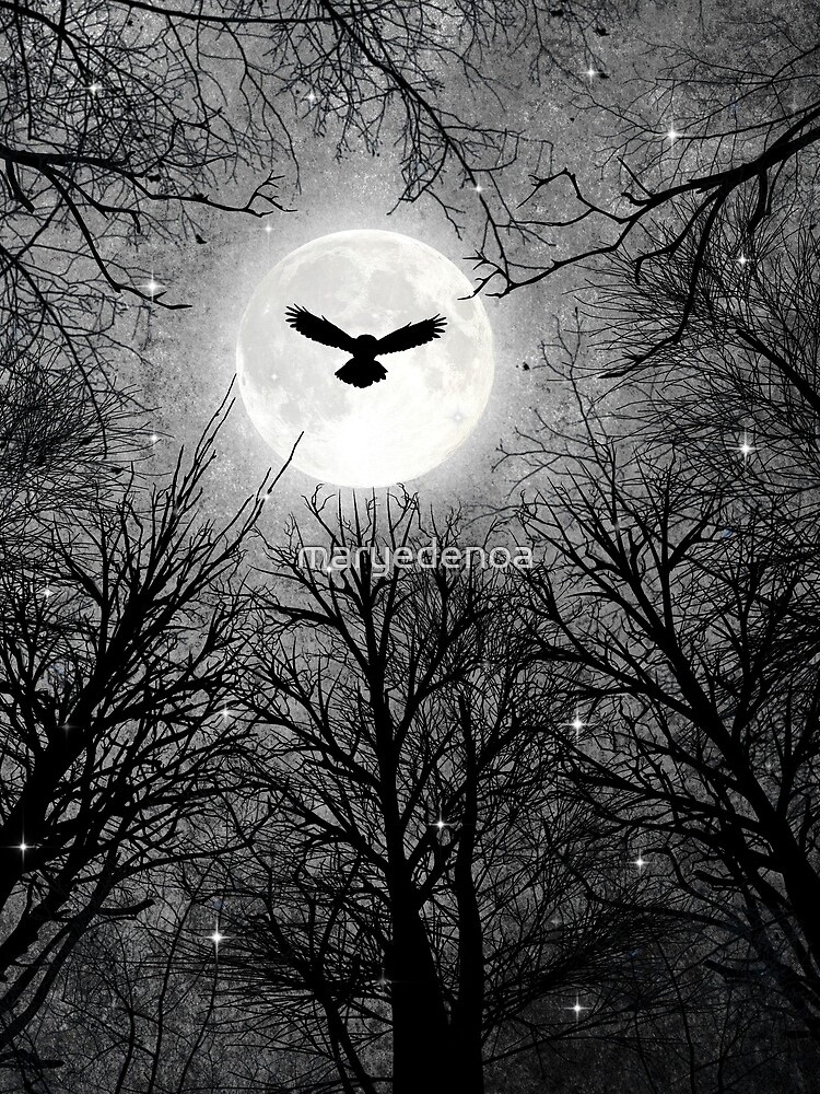 Wisdom Of The Night by maryedenoa