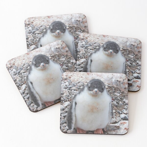 Item preview, Gentoo Penguin Chick ~ "My life's goal....to grow into my feet!" designed and sold by Robert Elliott.