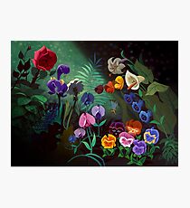 alice Photographic Print