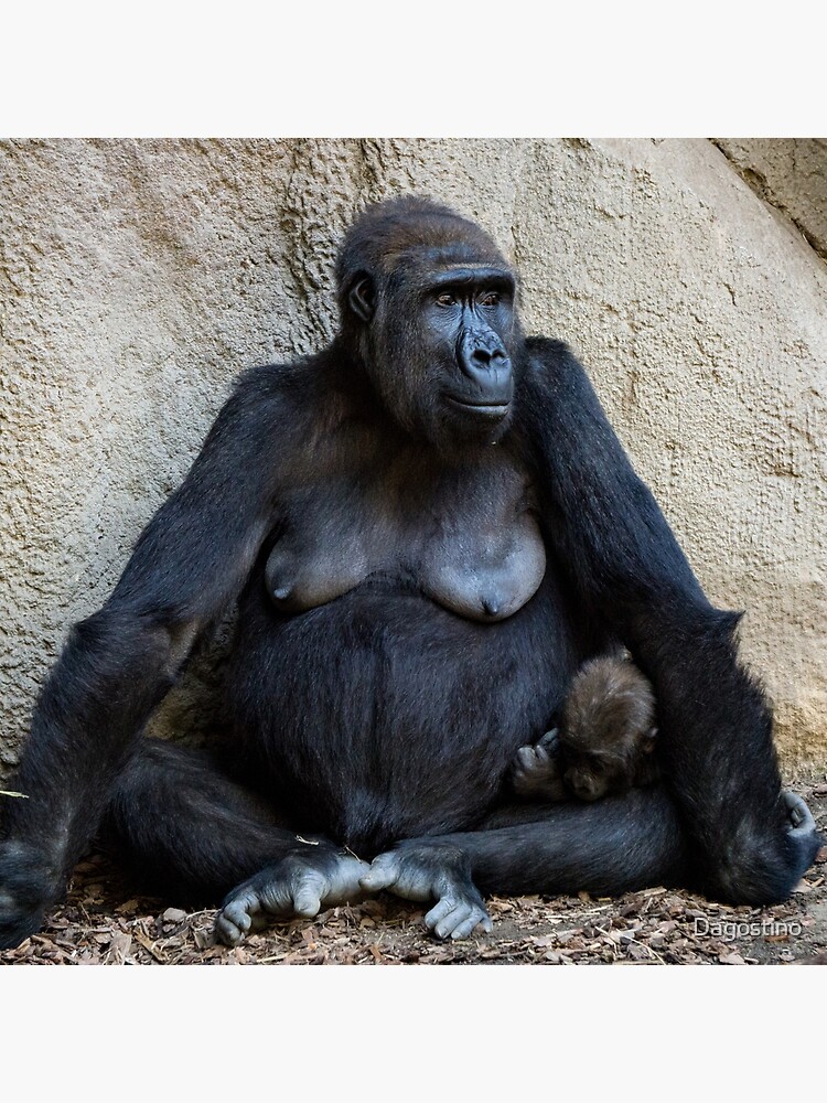 Portrait of a Male Gorilla Throw Pillow for Sale by DebiDalio