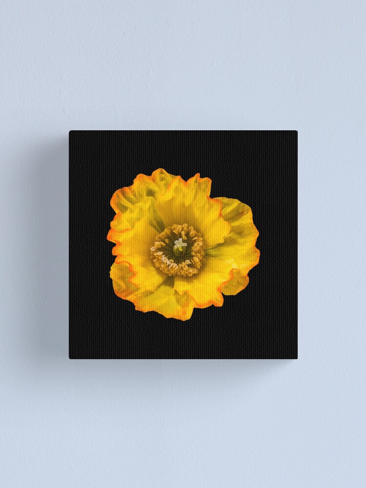 Alternate view of Yellow Poppy Canvas Print