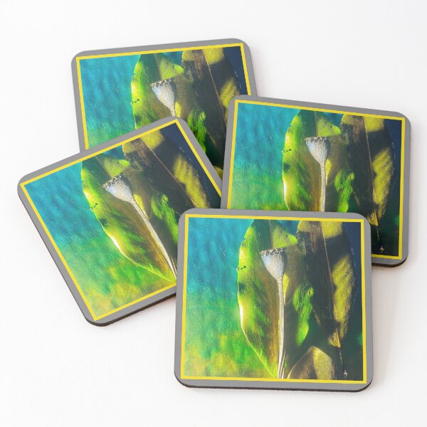 Item preview, Enchanted Botanicals Moody Poppy with Yellow  designed and sold by Wolfcreek1.