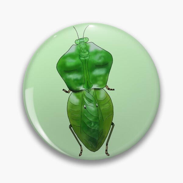 Item preview, Praying Mantis - Choeradodis sp. designed and sold by Reptillery.