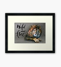 Lion Wild and Free background Framed Print
