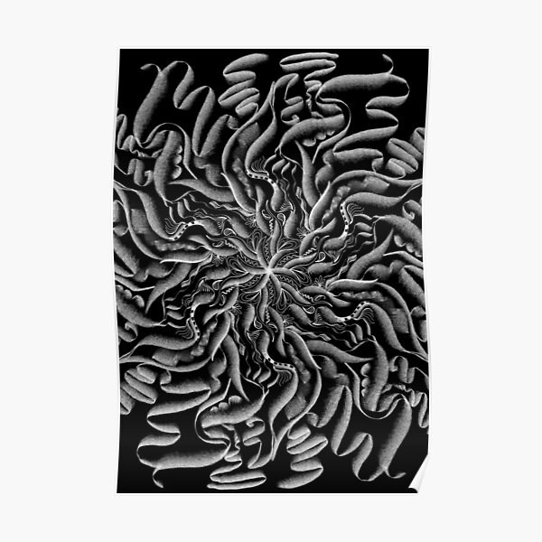 Chalkboard Mandala Poster