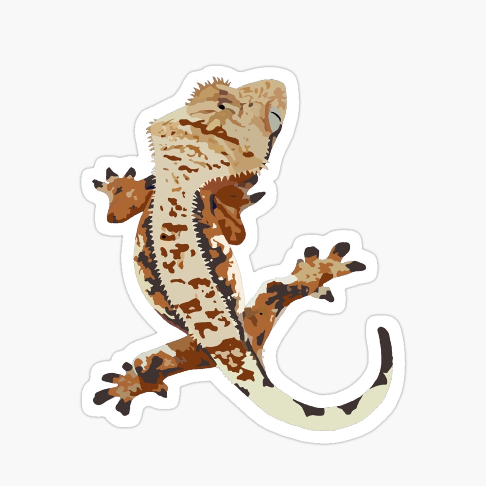 Tricolour Crested Gecko Magnet for Sale by Reptillery