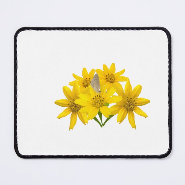 Item preview, flowers and butterfly clipping path on black Isolated background. designed and sold by SP-Tonmai.