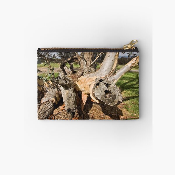 Item preview, Twisted Tree Trunk (in Canberra/ACT/Australia) (3) designed and sold by Wolf Sverak Photography.