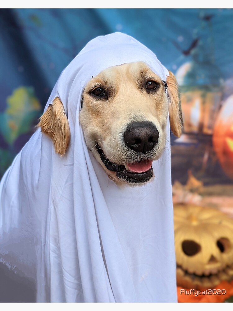 Golden retriever Halloween ghost costume" Sticker for Sale by Fluffycat2020  | Redbubble