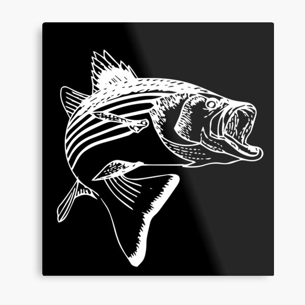 Striped Bass Fishing Wall Art for Sale