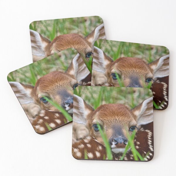 Item preview, Dear Fawn Friend designed and sold by Jamison-Riedman.